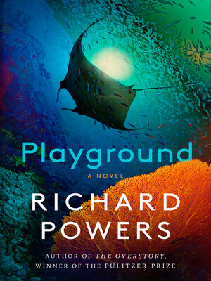 cover image of Playground
